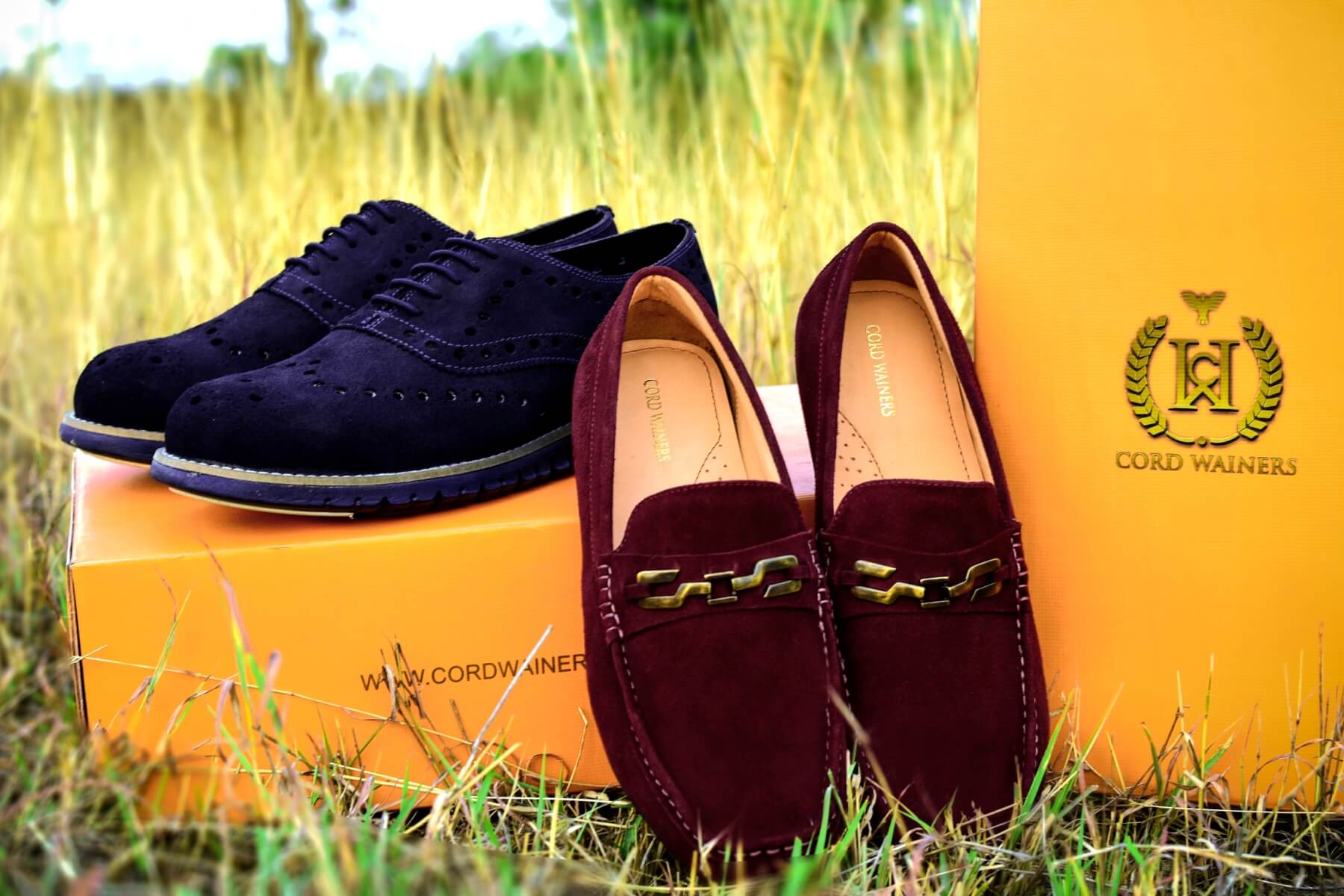 Suede Shoes