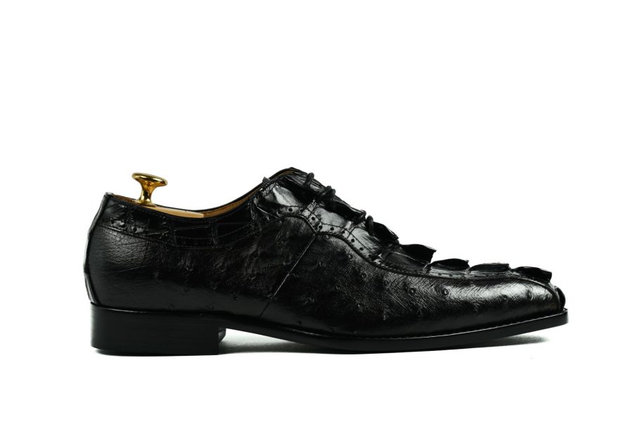 Brier Black