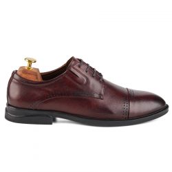 Aegis Brown leather Derby shoe