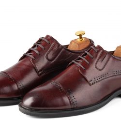 Aegis Brown leather Derby shoe