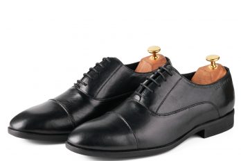 Concord Noir